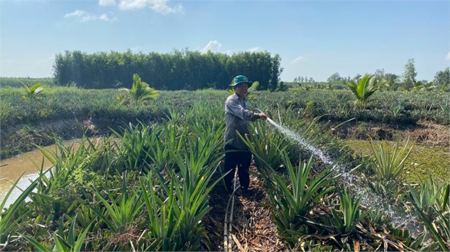 Hậu Giang chủ động ứng phó với hạn mặn xâm nhập (12/03/2024)